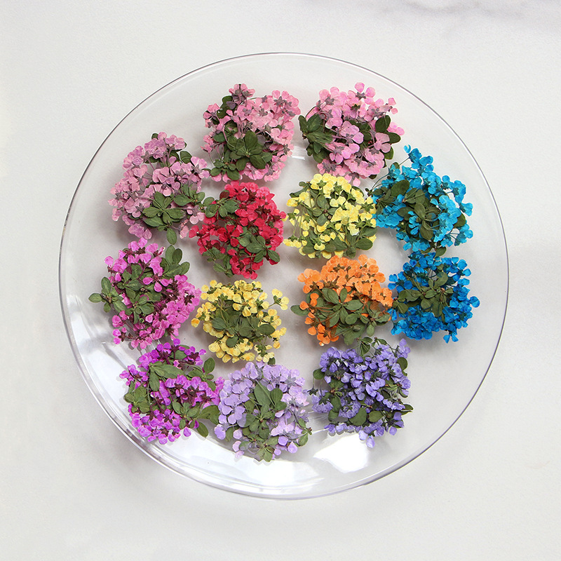 2-3cm/12 piezas, Pequeñas Flor - Supply For Florist reseña y precio