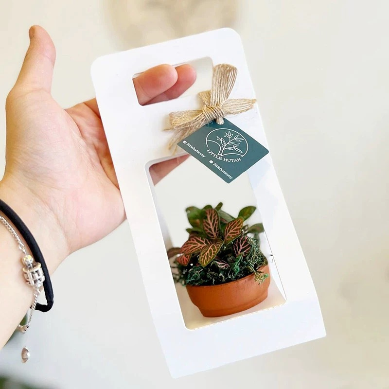 Juego de 10 Bolsas de Regalo p - Flower Wrap Kraft reseña y precio