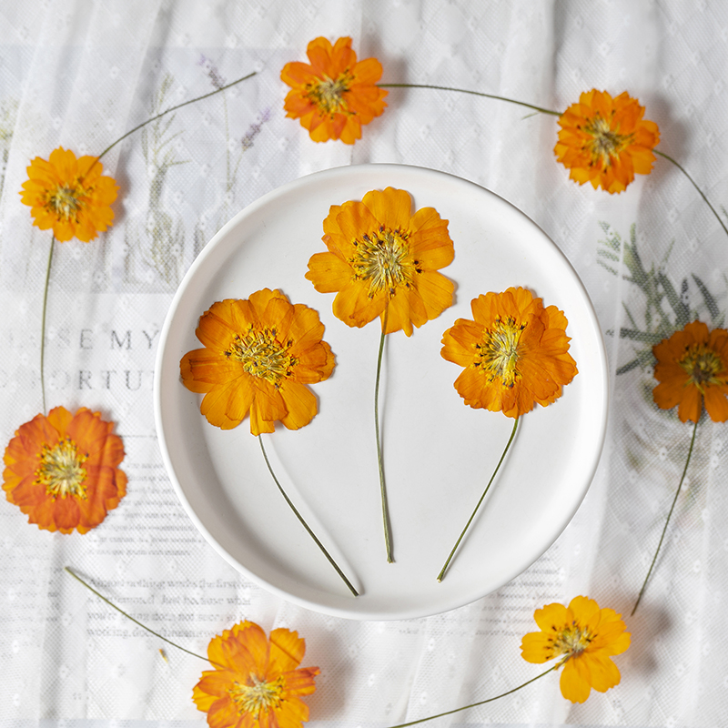 8-10cm/24 piezas, Flores peque - Supply For Florist reseña y precio