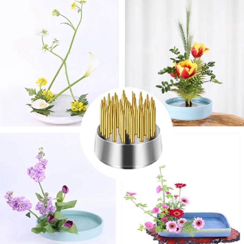 Rana de flores de 12 Uds., sop - Florist Supply Vases reseña y precio